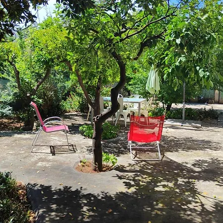 Serrano * パレルモ