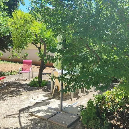 Serrano Vila *