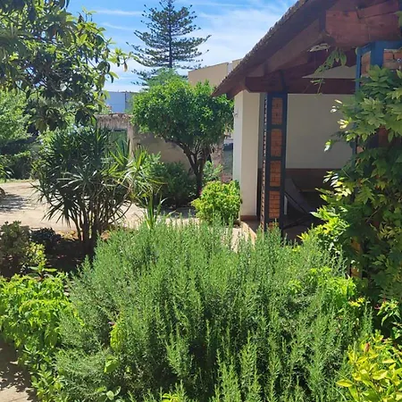 Serrano パレルモ