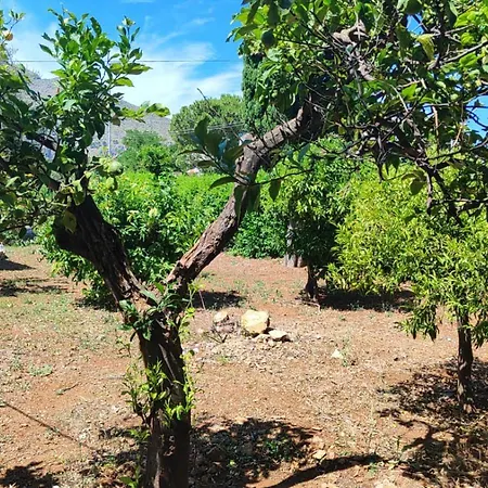 Serrano ヴィラ パレルモ