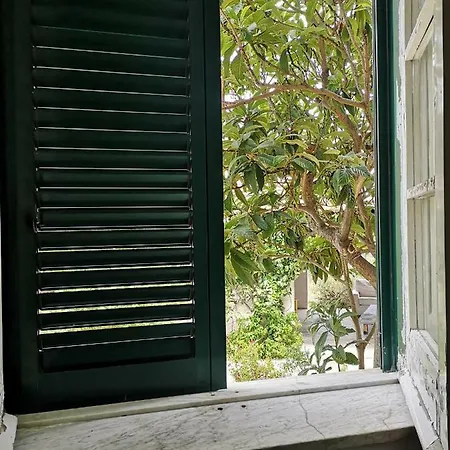 Serrano * Палермо