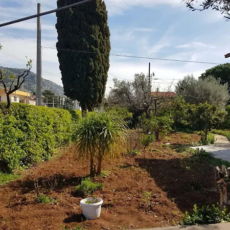 Serrano * פלרמו